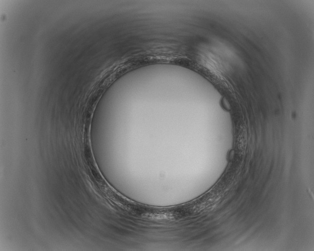 X0000083660639200702120841
