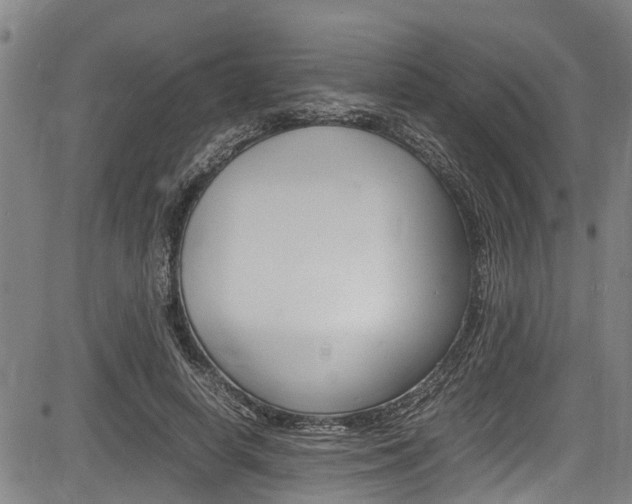 X0000083660642200702120841