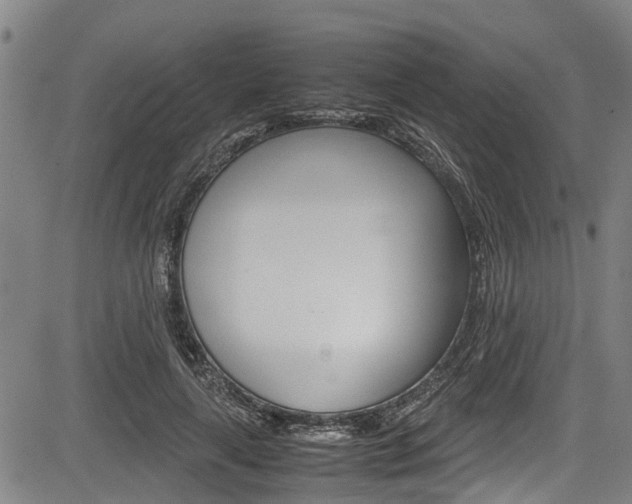 X0000083660643200702120841