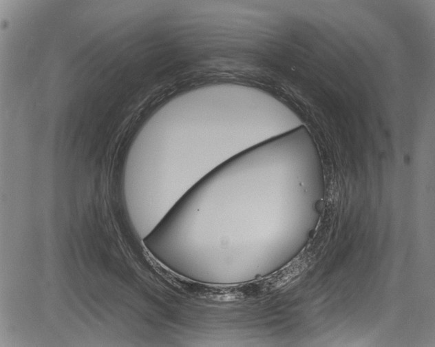 X0000083660646200702120841