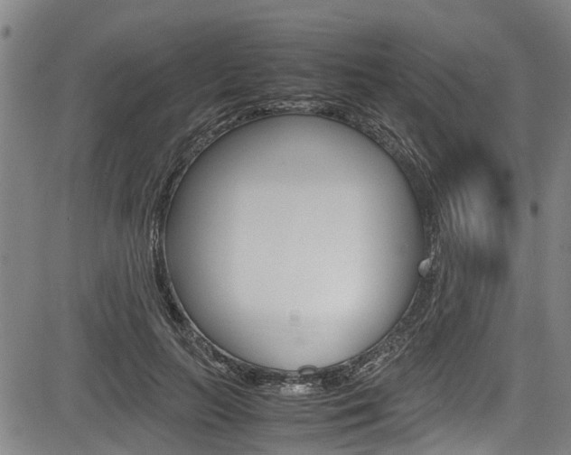 X0000083660647200702120841