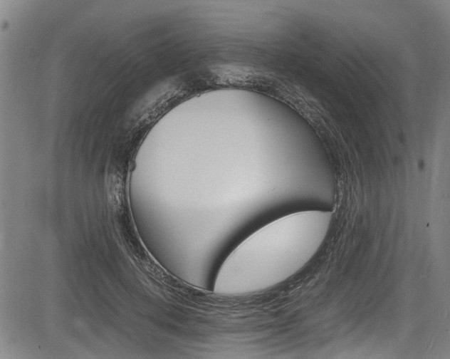 X0000083660648200702120841