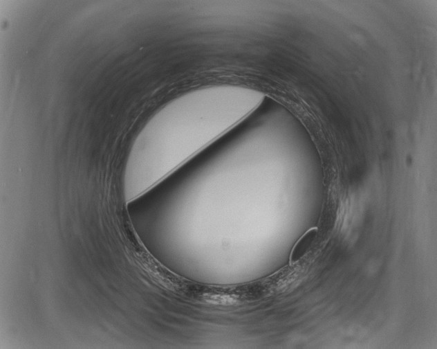 X0000083660649200702120841