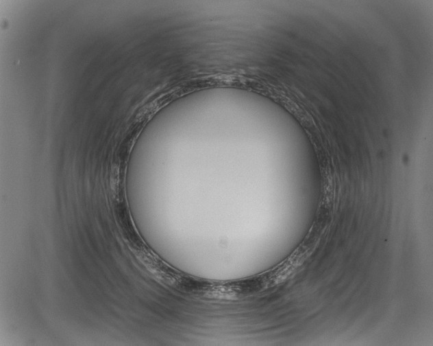 X0000083660656200702120841