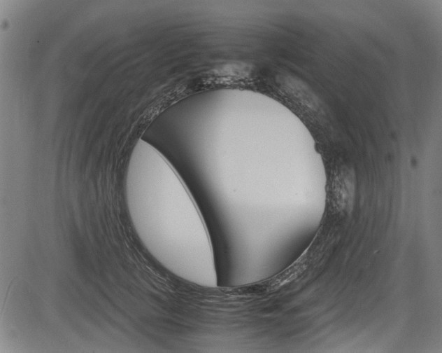 X0000083660657200702120841