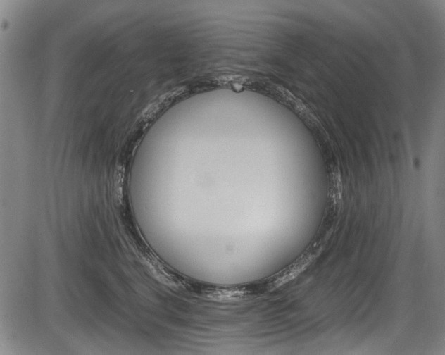 X0000083660664200702120841