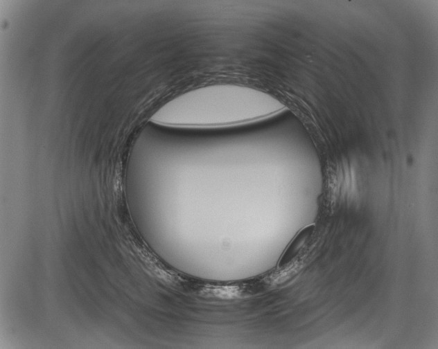 X0000083660665200702120841