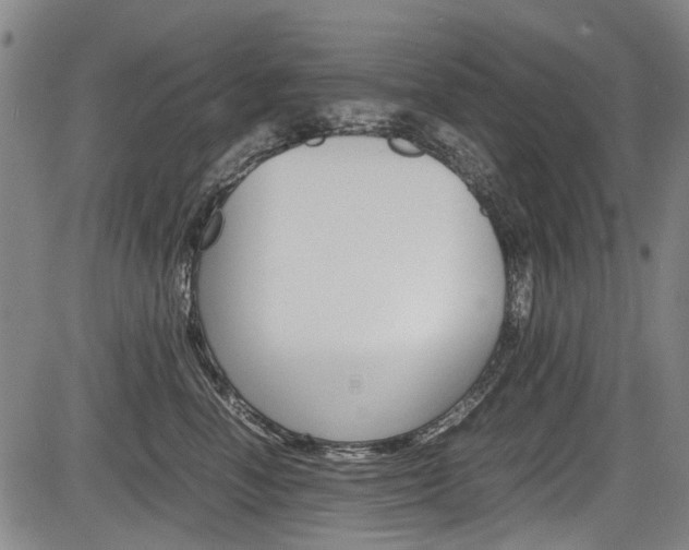 X0000083660666200702120841