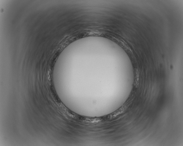 X0000083660667200702120841