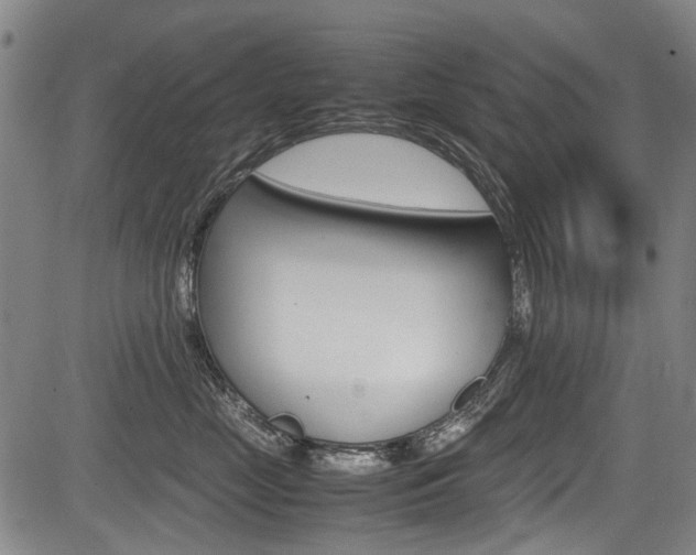 X0000083660669200702120841