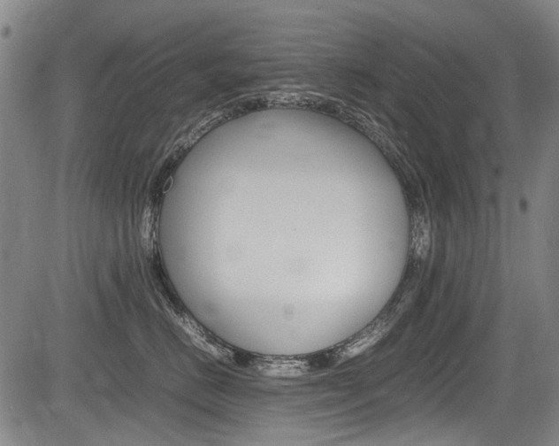X0000083660670200702120841