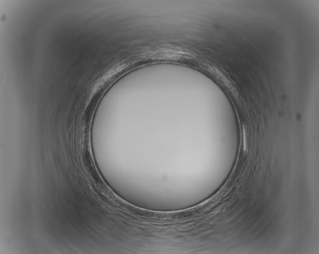 X0000083660675200702120840
