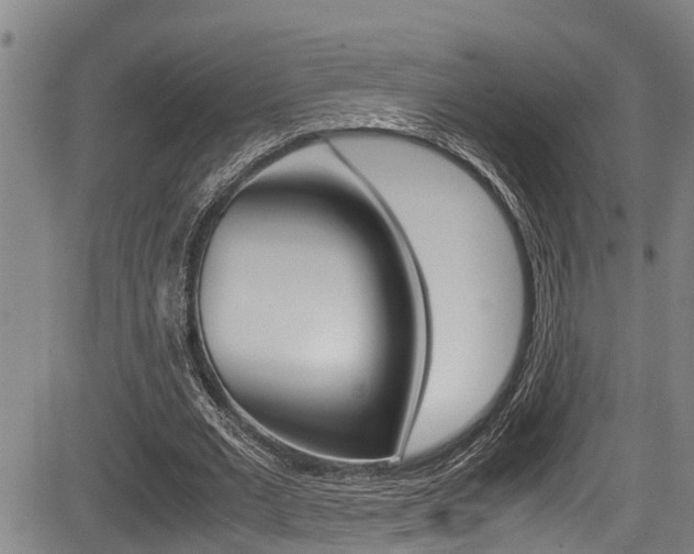 X0000083660677200702120840