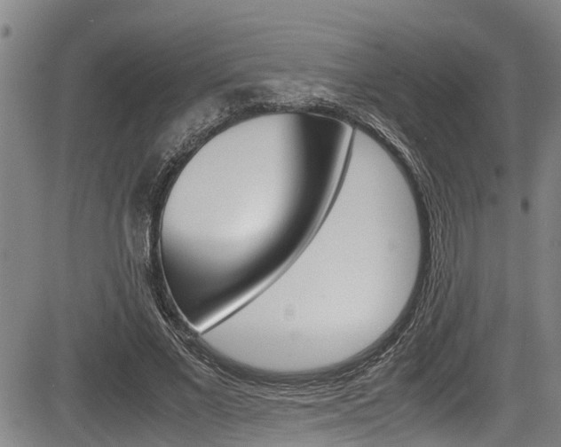 X0000083660685200702120840