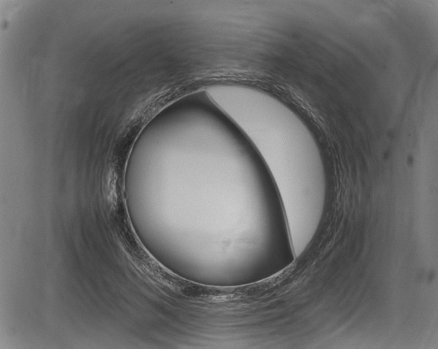 X0000083660692200702120840