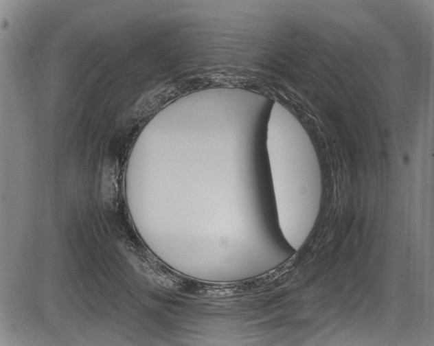 X0000083660702200702120840