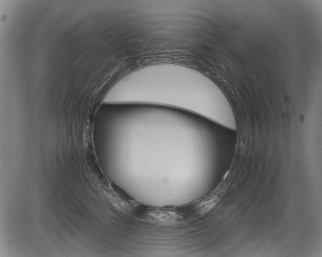 X0000083660712200702120840