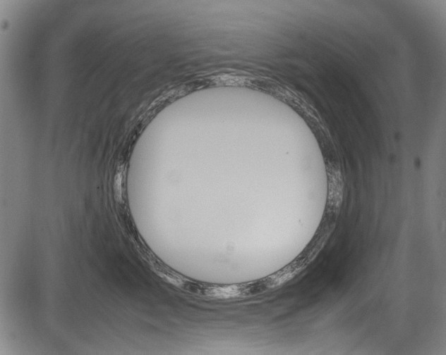 X0000083660717200702120840