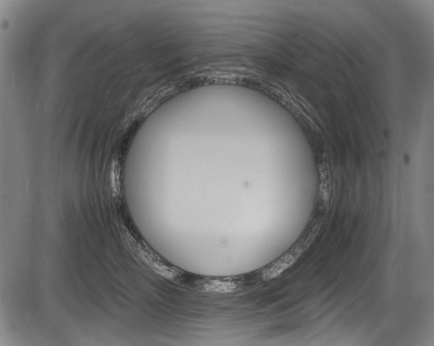 X0000083660718200702120840