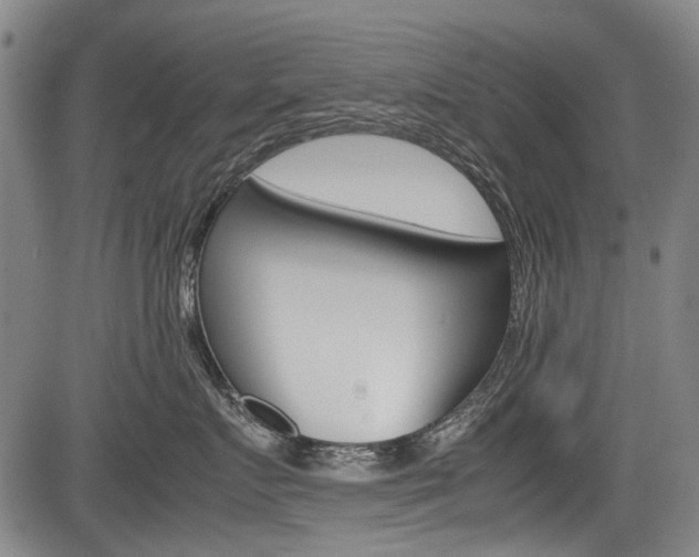 X0000083660719200702120840