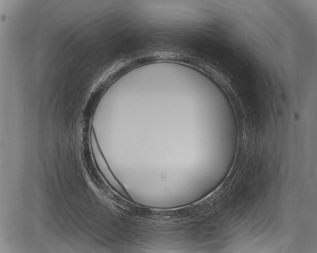 X0000083660730200702120839