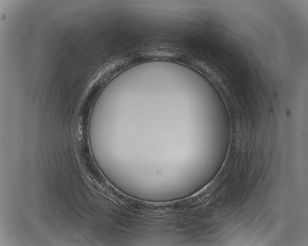 X0000083660731200702120839