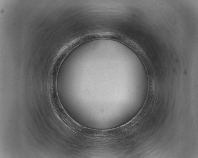 X0000083660732200702120839