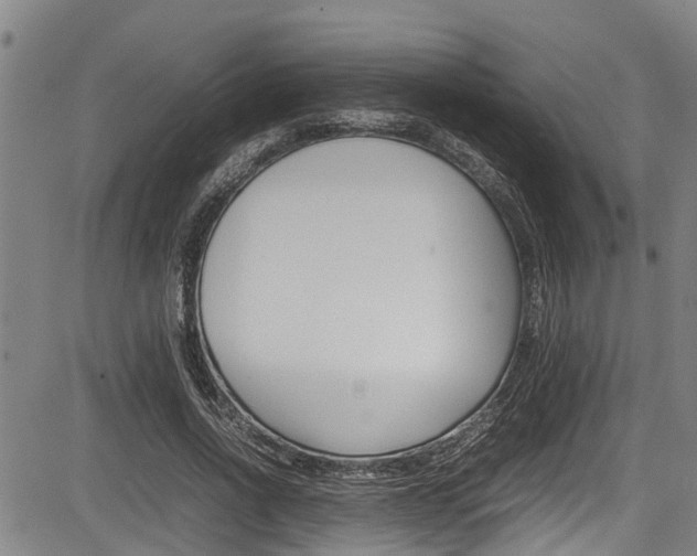 X0000083660734200702120839