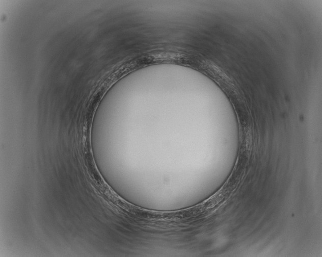 X0000083660737200702120839