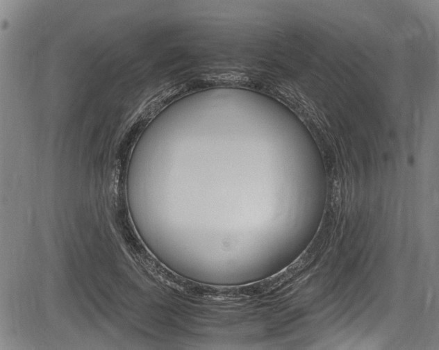 X0000083660739200702120839