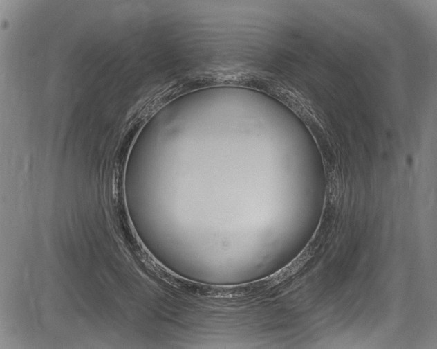 X0000083660740200702120839