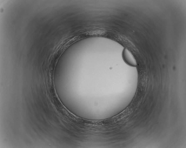 X0000083660743200702120839