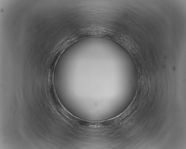 X0000083660744200702120839