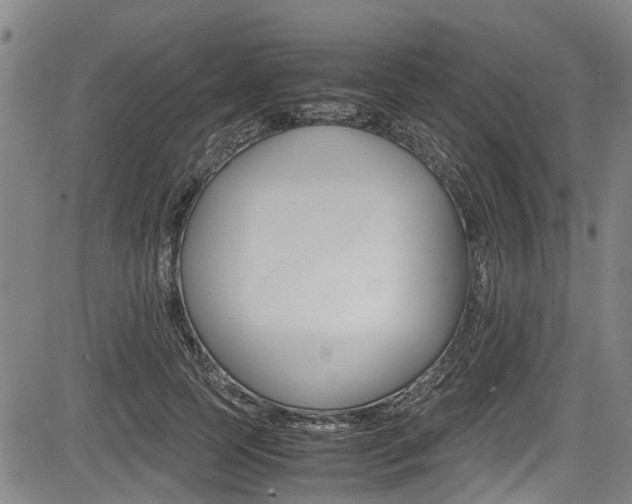 X0000083660745200702120839