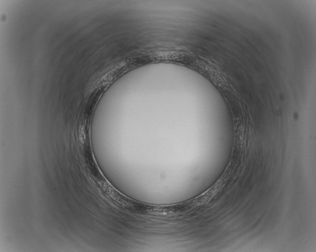X0000083660746200702120839