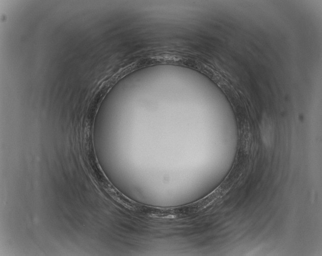 X0000083660747200702120839