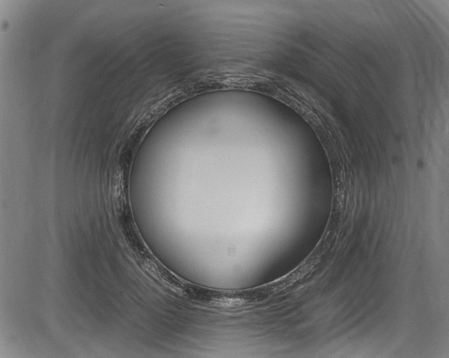 X0000083660748200702120839