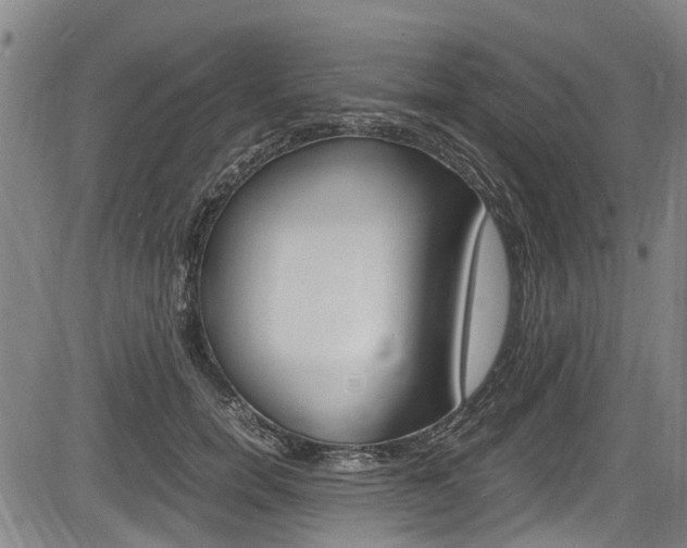X0000083660750200702120839