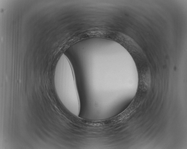 X0000083660751200702120839