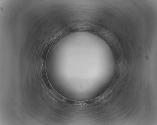 X0000083660752200702120839
