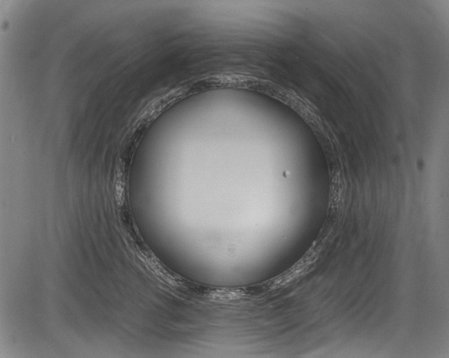 X0000083660762200702120839