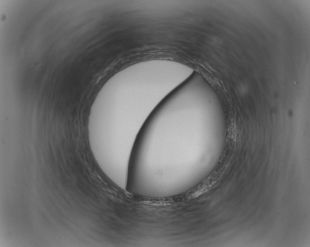 X0000083660763200702120839