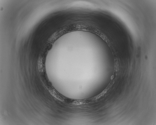 X0000083660764200702120839