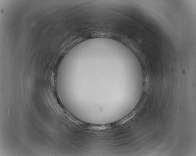 X0000083660765200702120840