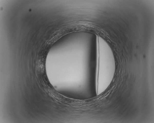 X0000083660771200702120839