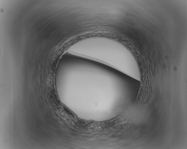 X0000083660773200702120839