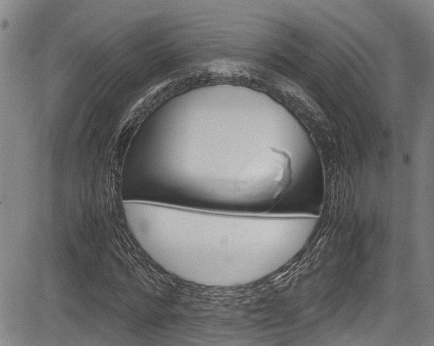 X0000083660776200702120839