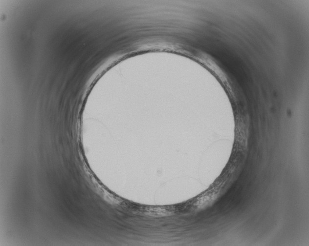 X0000083660807200702120838