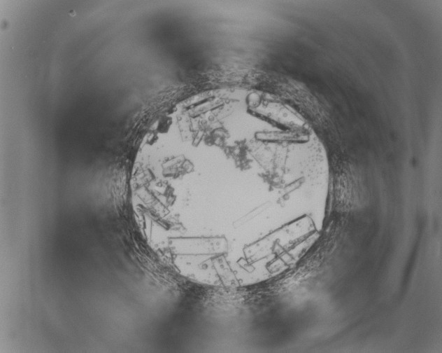 X0000083660820200702120837