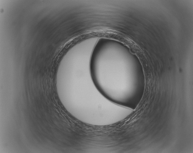 X0000083660822200702120837